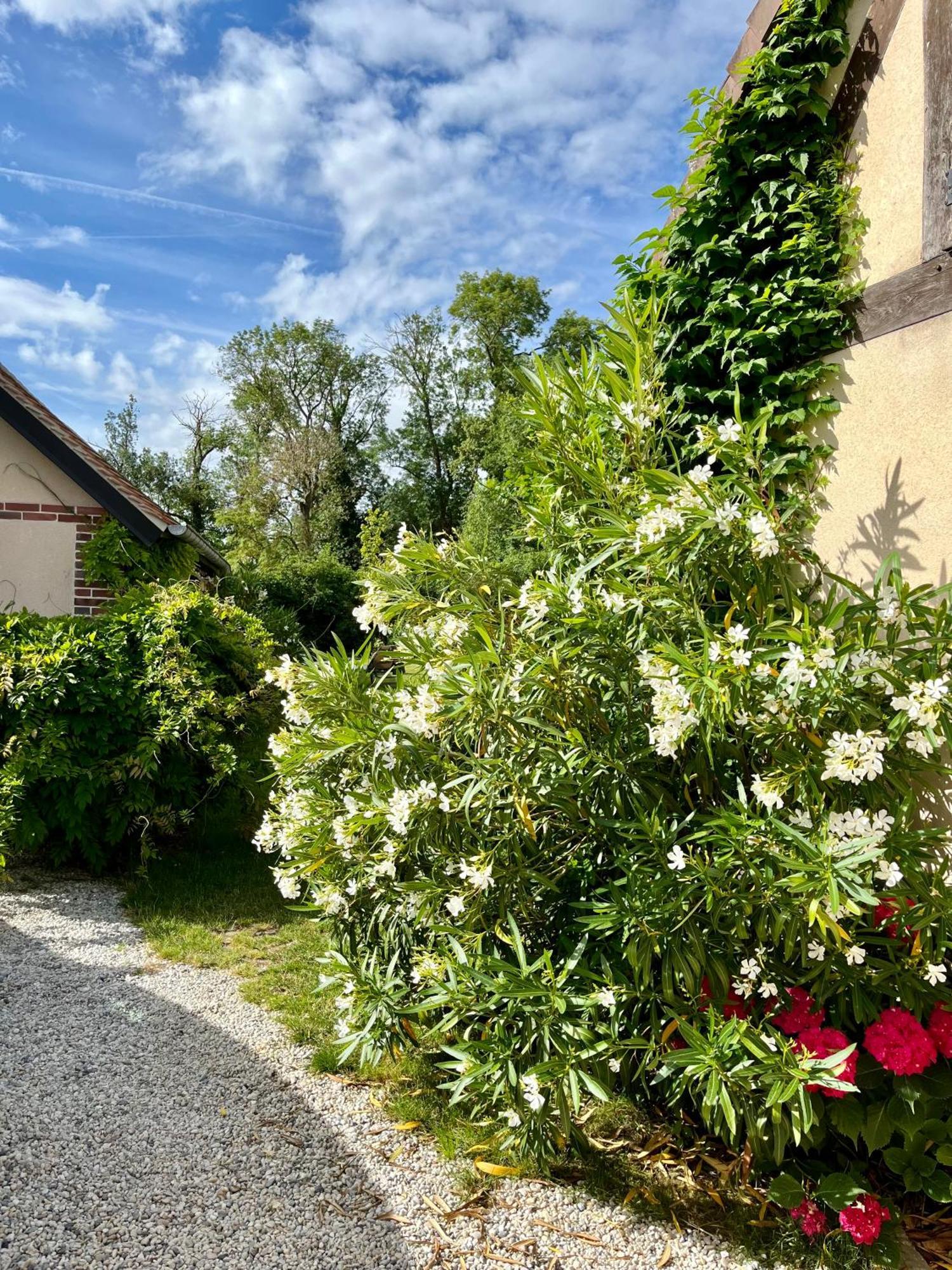 Apartamento Cote Riviere Ezy-sur-Eure Exterior foto